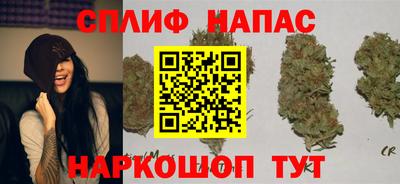 шишки Апрелевка