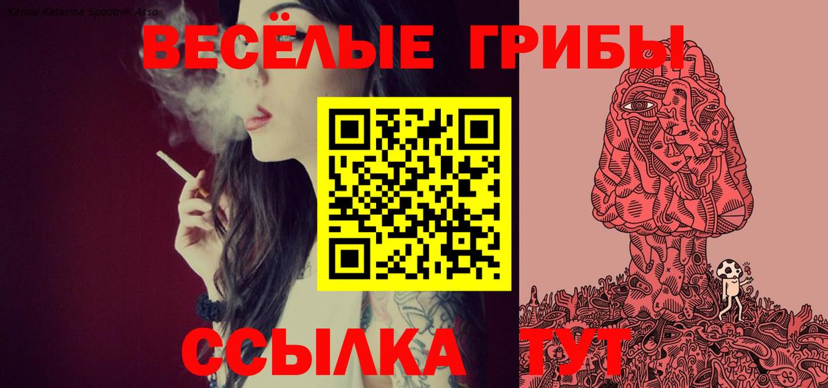 Асино  Псилоцибиновые грибы прущие грибы  Вход с VPN 